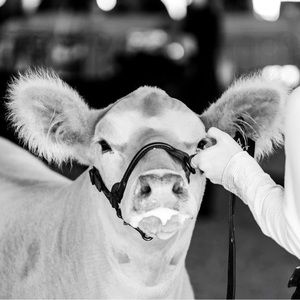 Meet your Posher, Cailee